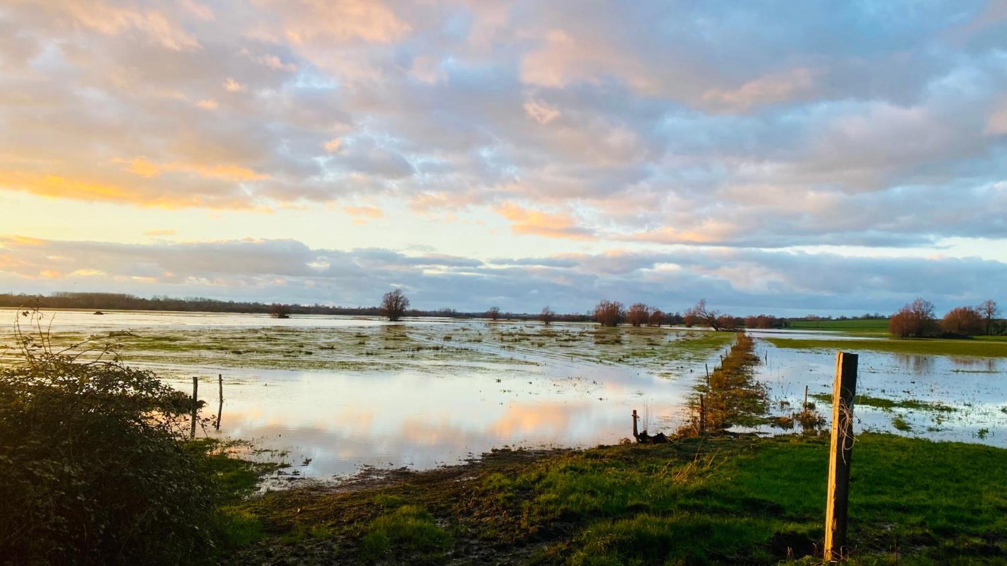 Chambre De Rose - Le Refuge Des Parachutistes - En Bordure Du Marais Neuville-au-Plain Экстерьер фото